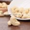 cashew nuts buyers cashew nuts of tanzania