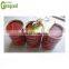 Canned tomato paste processing plant / tomato jam production line