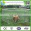  China -  express top tent Lucky Dog Powder-Coated Kennel