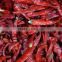Red Dried Chilli with High quality