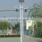 Stand Alone High Effeciency LED solar street lamps led