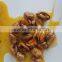 Canned Smoked Mussels with oil