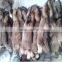 100% Natural Genuine raccoon fur skin for garment