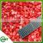 Fresh Green And Healthy Fruit Frozen Strawberry Strawberry Dices