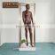 Metal Frame With Glass Door Design Clothes Model Stand Showcase