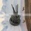 Shoe Lace Abrasion shoestring Cooton Lace