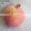decorative emulation artificial foam pomegranate fruits 3.5"*4" with emulation sugar for havest home decoration