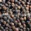 VIETNAM DRIED BLACK PEPPER 500 GL-550 GL 100% ORIGIN BEST PRICE