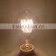 Enjoy night with vintage 110v lighting bulb A19/A21/ST64/ST58 bird cage lamp