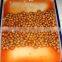 we are supply canned vegetbles , Canned broad beans in brine for sale