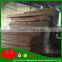 cheap wood veneer cheap price solid wood raw lumber sawn timber in paulownia / fir / pine blockboard sheet 2mm