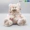 High Quality Valentine Gift Pink Bear Plush Pet Toy for Free Sample