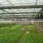 low cost greenhouse commercial greenhouse agricultural greenhouse