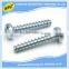 China manufacturer nonstandard steel galvanized threaded screw