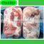 halal frozen Pork shoulder meat