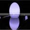 little egg taper ball cube animal pets all shapes rotomolding Led Light Table lamp Decoration, led decorative table lamp