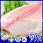 Frozen Fish Tilapia Fillet Sea Food