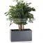 large plant nursery rectangle grc reinforced pot planter