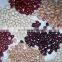 2014 Chinese red kidney bean with cheap price