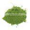 Coleus Powder