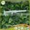 delicious health chinese frozen fresh frozen broccoli have a good sale in bulk