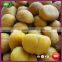 2015 New Organic Frozen Peeled Roasted Chestnut Nuts Kernels