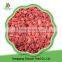 Top quality iqf frozen strawberry all red