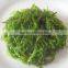 sea-tent salted packing bag pickled spicy Wakame pickled kelp