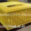 TSL series new tyoe poulty plastic transport box for chicken