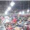 JNZ good quality used all kinds second hand clothes