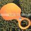 CE Approved Winter plastic Snow Glider Toboggan Sledge