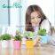 hydroponic bright color small plastic flower pot for home garden interior christmas decoration