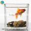 Square clear glass vase for homedecoration