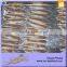 Hot Sale Vacuum Packed Interleaved Mackerel Fillet