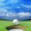 Electric golf cart with competitive price made in china for promotion