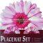 Beautiful Speial shape Table mat & coasters set,PP, Factory direct supplier