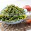 Vegan Food,shirataki Pasta With Gluten Free,sugar Free
