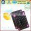 China Supply Factory Price PP ProtectiveTray for Apple Packing