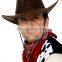 wholesale cheap fans flag color cowboy hat FGH-1118