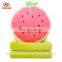 Super soft 2 in 1 cartoon watermelon plush fleece fruit pillow blanket for baby