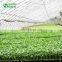 2019 Special Underground Greenhouse For Sale