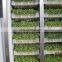 healthy fodder system wholesale soya  sprouter