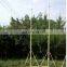 High telescoping Manual aluminum mast 18 meter