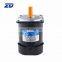 ZD MOTOR, AC motor without gearbox 220V 60W GN type