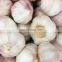 2020 China/Chinese Best Fresh Natural Garlic