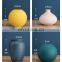 Gold Floor Ovale Pampas Grass Colorful Vases Modern White Color Clay Morandi Vintage Nordic Design Ceramic Vase