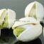 gaziantep pistachio pistache phistachios pistazien pistachio nuts in shell raw shelled gaziantep pistachio