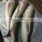 HACCP EU certification Land frozen Roe off Grey mullet and mugil cephalus