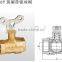 Check Valve With Lock