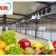 Fish storage freezer